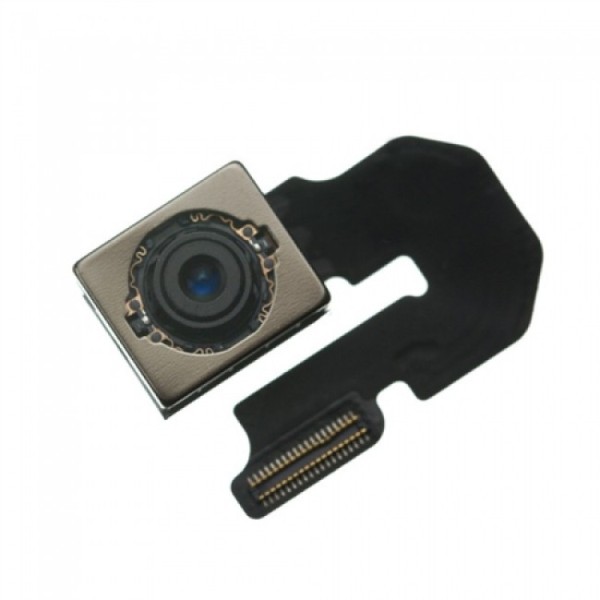 Back camera-800×800