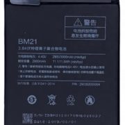 bm21
