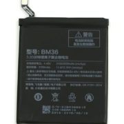 bm36
