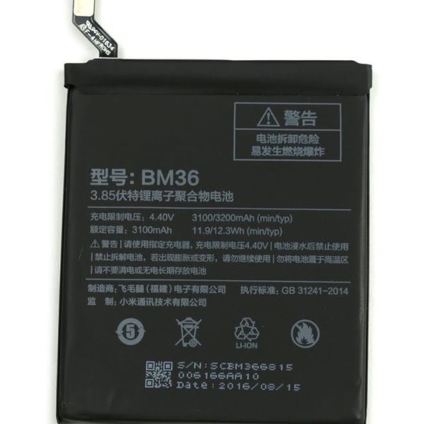 bm36