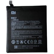 bm37